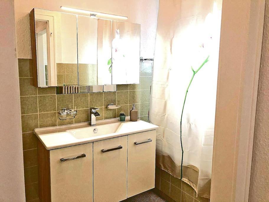 Inn Joy Apartments - Rorschach Mit Panoramasicht Экстерьер фото
